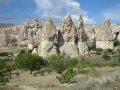 IMG_3344 IMG_3344
