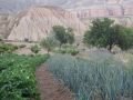 IMG_3438 IMG_3438