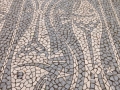 IMG_0259 IMG_0259