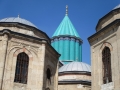 IMG_3948 IMG_3948