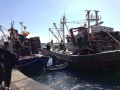 IMG_0677 IMG_0677