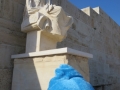 IMG_2482 IMG_2482