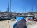 IMG_0954 IMG_0954