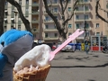 IMG_1516 IMG_1516