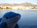 IMG_1636 IMG_1636