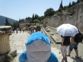 IMG_2569 IMG_2569
