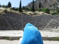 IMG_2595 IMG_2595