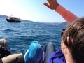 IMG_8422 IMG_8422