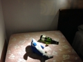 IMG_2284 IMG_2284