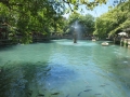 IMG_4218 IMG_4218