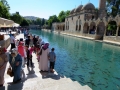 IMG_4244 IMG_4244