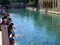 IMG_4245 IMG_4245