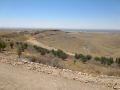 IMG_4412 IMG_4412