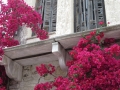 IMG_3049 IMG_3049
