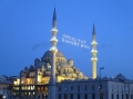 IMG_4785 IMG_4785