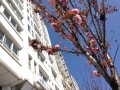 IMG_1763 IMG_1763