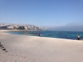 IMG_1784 IMG_1784