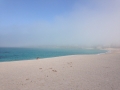 IMG_1796 IMG_1796