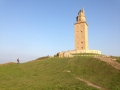 IMG_1803 IMG_1803