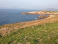 IMG_1806 IMG_1806