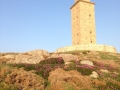 IMG_1821 IMG_1821