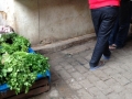 IMG_0955 IMG_0955