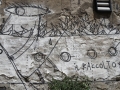 IMG_1447 IMG_1447