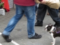 IMG_0689 IMG_0689