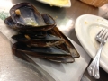 IMG_2560 IMG_2560