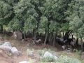 IMG_2936 IMG_2936