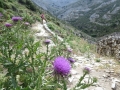 IMG_2959 IMG_2959