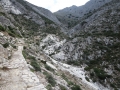 IMG_2960 IMG_2960