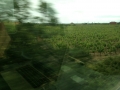 IMG_6620 IMG_6620