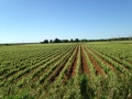 IMG_6702 IMG_6702