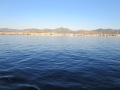 IMG_1630 IMG_1630