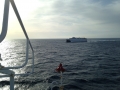 IMG_4547 IMG_4547