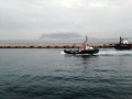 IMG_4633 IMG_4633