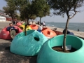 IMG_0084 IMG_0084