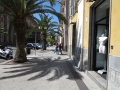 IMG_1205 IMG_1205