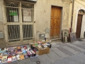 IMG_1272 IMG_1272