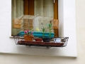 IMG_1352 IMG_1352