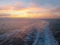 IMG_3195 IMG_3195