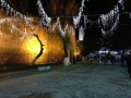 IMG_1093 IMG_1093