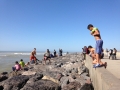 IMG_0715 IMG_0715
