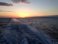 IMG_3274 IMG_3274