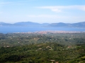 IMG_1084 IMG_1084