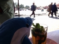 IMG_0616 IMG_0616