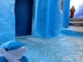 IMG_1036 IMG_1036