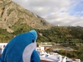 IMG_1055 IMG_1055