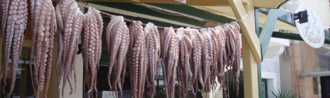 A line of octopi at Meze 2 on the quayside in Naxos, Greece.